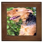 airedale terrier Framed Tile