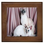 Siamese Sisters Framed Tile