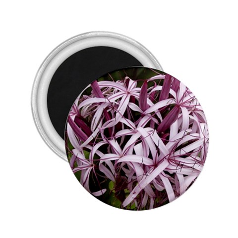 purple flowers 2.25  Magnet from UrbanLoad.com Front