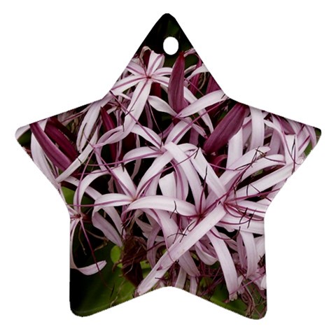 purple flowers Ornament (Star) from UrbanLoad.com Front