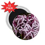 purple flowers 2.25  Magnet (10 pack)