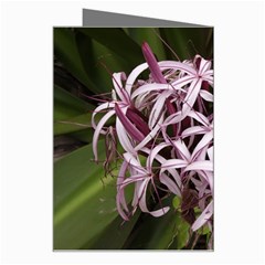 purple flowers Greeting Card from UrbanLoad.com Right