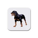 Rottweiler  Rubber Square Coaster (4 pack)