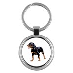 Rottweiler  Key Chain (Round)