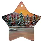  Jane s Winter Sunset   by Ave Hurley of ArtRevu ~ Ornament (Star)