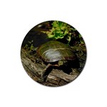 Turtle Rubber Round Coaster (4 pack)