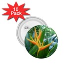 Get Me! 1.75  Button (10 pack) 