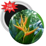 Get Me! 3  Magnet (100 pack)