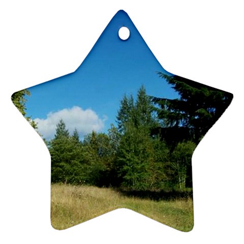 land2 Ornament (Star) from UrbanLoad.com Front