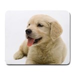 Home and Office Large Mousepad