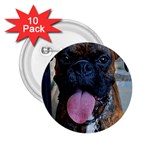 boxer 2.25  Button (10 pack)