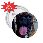 boxer 2.25  Button (100 pack)