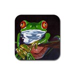 Tree Frog Rubber Square Coaster (4 pack)