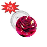 Rose 1 1.75  Button (10 pack) 