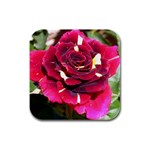 Rose 1 Rubber Square Coaster (4 pack)