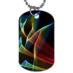 Peacock Symphony, Abstract Rainbow Music Dog Tag (Two-sided) 