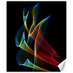 Peacock Symphony, Abstract Rainbow Music Canvas 20  x 24  (Unframed)