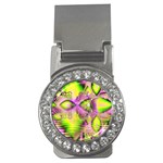Raspberry Lime Mystical Magical Lake, Abstract  Money Clip (CZ)