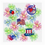Patriot Fireworks Glasses Cloth (Medium, Two Sided)