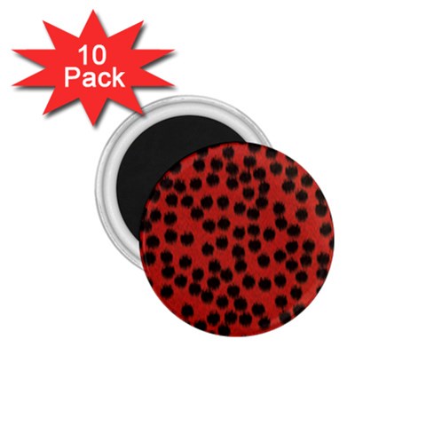 Cheetah 1.75  Magnet (10 pack)  from UrbanLoad.com Front