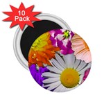 Lovely Flowers,purple 2.25  Button Magnet (10 pack)