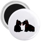 Scottish Terriers 3  Magnet