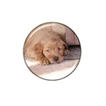 Golden Retriever Puppy Hat Clip Ball Marker