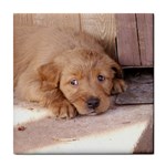 Golden Retriever Puppy Tile Coaster