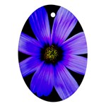 Purple Bloom Oval Ornament