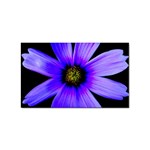 Purple Bloom Sticker 10 Pack (Rectangle)