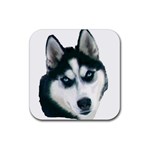 husky Rubber Coaster (Square)