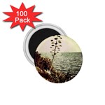 Sète 1.75  Button Magnet (100 pack)