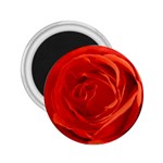 Single Rose 2.25  Magnet