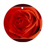 Single Rose Ornament (Round)