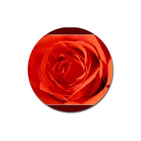 Single Rose Magnet 3  (Round) from UrbanLoad.com Front