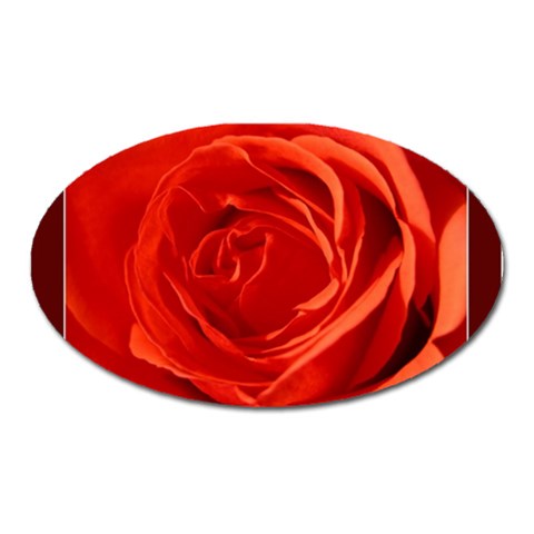 Single Rose Magnet (Oval) from UrbanLoad.com Front