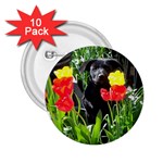 Black GSD Pup 2.25  Button (10 pack)