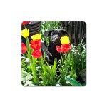 Black GSD Pup Magnet (Square)