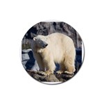 polar bear Rubber Round Coaster (4 pack)
