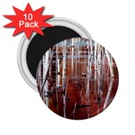 Swamp2 Filtered 2.25  Button Magnet (10 pack)
