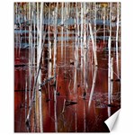 Swamp2 Filtered Canvas 16  x 20  (Unframed)