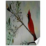 Sweet Red Cardinal Canvas 12  x 16  (Unframed)