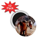 Pretty Pony 1.75  Button Magnet (10 pack)