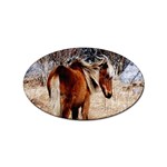 Pretty Pony Sticker (Oval)