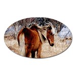 Pretty Pony Magnet (Oval)