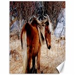 Pretty Pony Canvas 12  x 16  (Unframed)