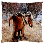 Pretty Pony Large Cushion Case (Two Sided) 
