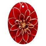 Red Dahila Oval Ornament
