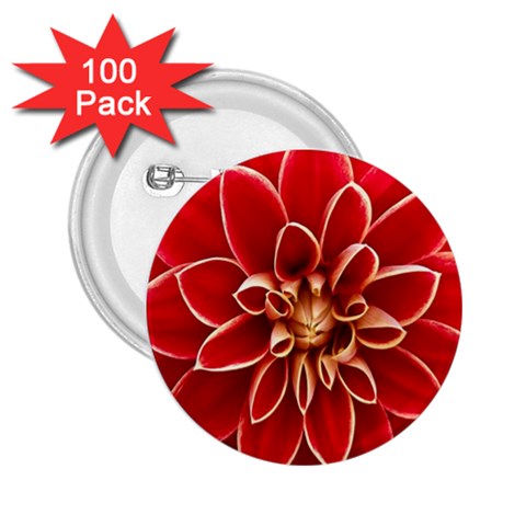 Red Dahila 2.25  Button (100 pack) from UrbanLoad.com Front