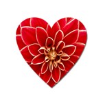 Red Dahila Magnet (Heart)